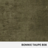 Bonnie Taupe